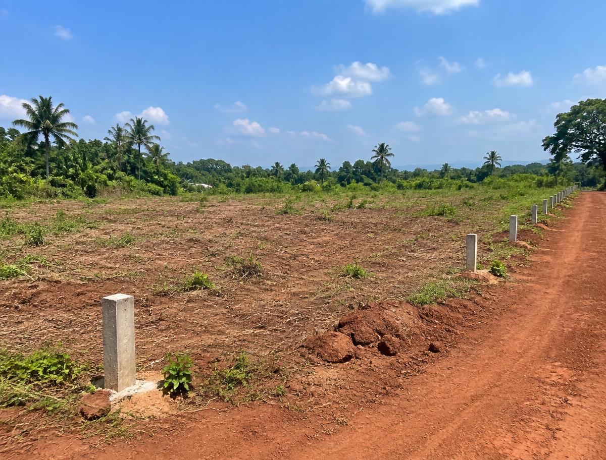 Cleared land with boundary markers and an access road